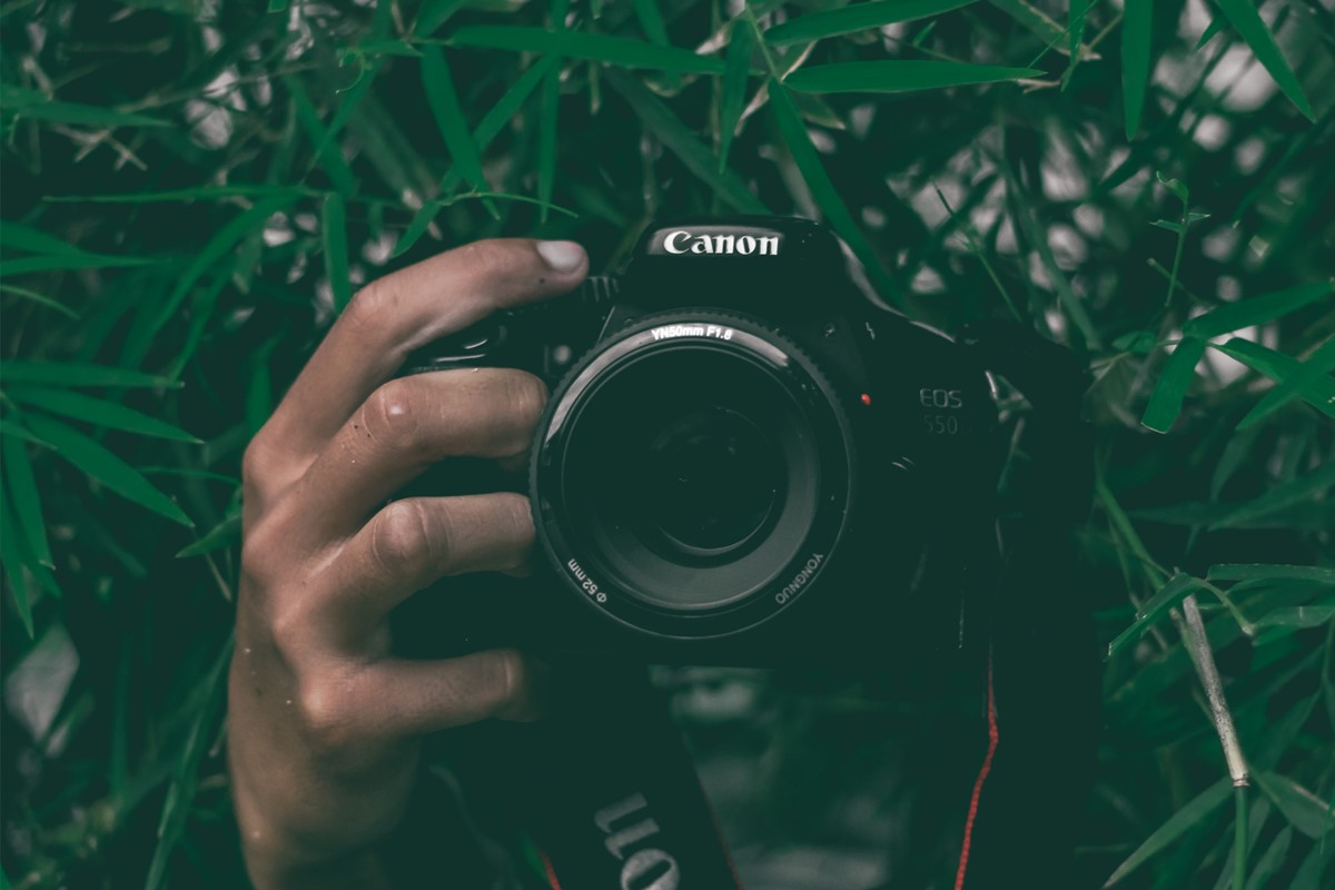 摄影 photography